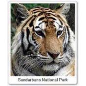 Sunderbans National Park.jpg